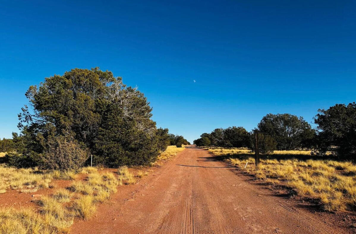 WILLIAMS, AZ (Coconino County)